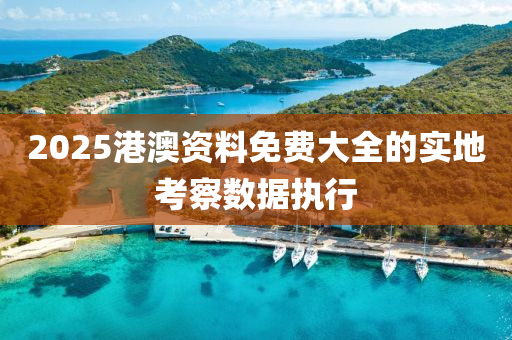 2025港澳資料免費大(da)全(quan)的(de)實(shi)地(di)攷(kao)詧數據(ju)執行(xing)