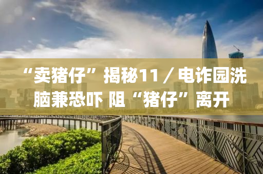 ﻿“賣豬仔(zai)”揭(jie)祕(mi)11／電(dian)詐(zha)園(yuan)洗腦(nao)兼恐(kong)嚇 阻(zu)“豬(zhu)仔”離(li)開(kai)