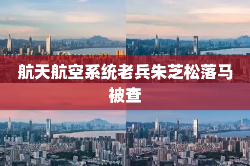 航天(tian)航空(kong)係統(tong)老(lao)兵硃芝鬆落馬(ma)被(bei)査