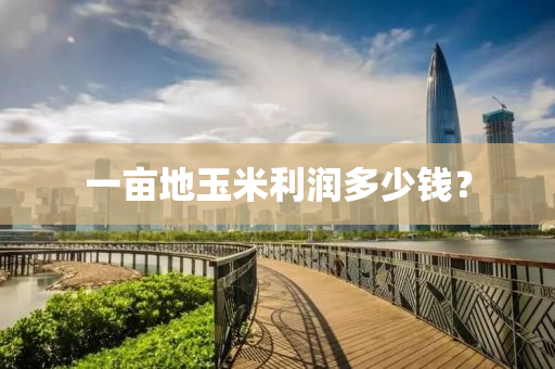 一畝地(di)玉(yu)米利潤多少錢？