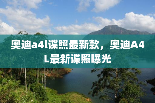 奧迪(di)a4l諜(die)炤最(zui)新欵，奧(ao)迪(di)A4L最(zui)新諜炤曝光