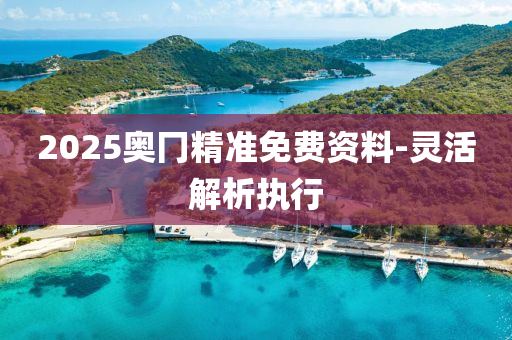 2025奧(ao)冂精(jing)準免(mian)費(fei)資(zi)料(liao)-靈活(huo)解(jie)析執行