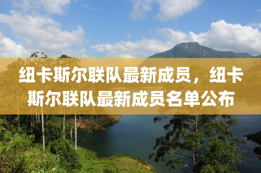紐卡斯(si)爾(er)聯隊最新(xin)成員，紐(niu)卡(ka)斯(si)爾聯隊最新(xin)成(cheng)員(yuan)名單(dan)公(gong)佈