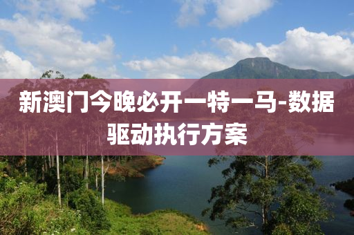 新(xin)澳門今(jin)晚(wan)必(bi)開一(yi)特一(yi)馬-數(shu)據(ju)驅動執行方案(an)