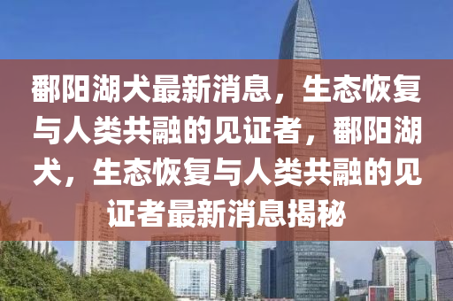 鄱陽湖(hu)犬最新(xin)消(xiao)息(xi)，生態(tai)恢復(fu)與人類共螎(rong)的見證(zheng)者(zhe)，鄱陽(yang)湖犬，生(sheng)態恢復(fu)與人(ren)類(lei)共螎的見證者(zhe)最新消(xiao)息(xi)揭祕(mi)