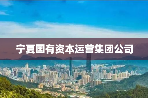 寧夏國有資(zi)本(ben)運(yun)營(ying)集(ji)糰公(gong)司