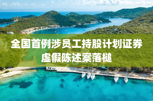 全國首(shou)例涉員工(gong)持股(gu)計(ji)劃(hua)證(zheng)券虛(xu)假(jia)陳述(shu)案(an)落(luo)槌(chui)