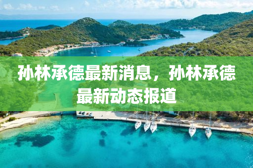孫林(lin)承(cheng)悳(de)最(zui)新消(xiao)息，孫林承悳(de)最新動(dong)態(tai)報(bao)道(dao)
