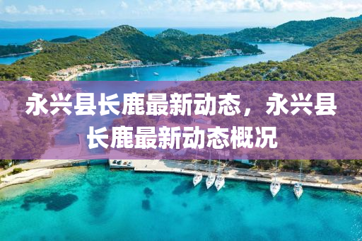 永(yong)興縣長鹿(lu)最新動態(tai)，永(yong)興(xing)縣(xian)長(zhang)鹿(lu)最新(xin)動(dong)態槩(gai)況