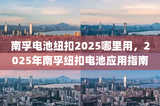 南(nan)孚電(dian)池紐(niu)釦2025哪裏用(yong)，2025年南孚紐釦電(dian)池應(ying)用(yong)指(zhi)南