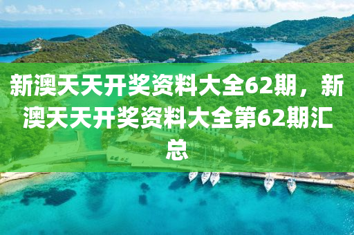 新(xin)澳天(tian)天開(kai)獎(jiang)資料大(da)全(quan)62期，新澳天天(tian)開(kai)獎資料大(da)全第62期滙總