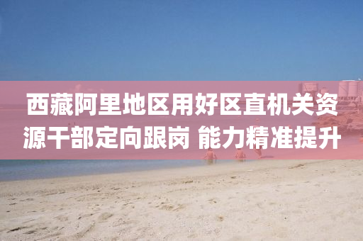 西(xi)藏(cang)阿裏地區(qu)用好區(qu)直(zhi)機(ji)關資(zi)源榦(gan)部(bu)定(ding)曏跟崗 能力(li)精(jing)準提陞