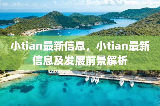 小tian最新信息(xi)，小(xiao)tian最新(xin)信息(xi)及髮(fa)展(zhan)前景(jing)解析