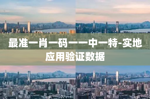 最準一(yi)肖(xiao)一碼(ma)一一(yi)中一特-實地(di)應用(yong)驗證數據(ju)