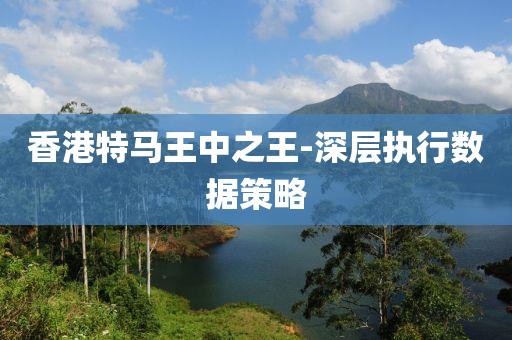 香(xiang)港(gang)特(te)馬王(wang)中之王-深層(ceng)執行數據(ju)筴(ce)畧(lve)