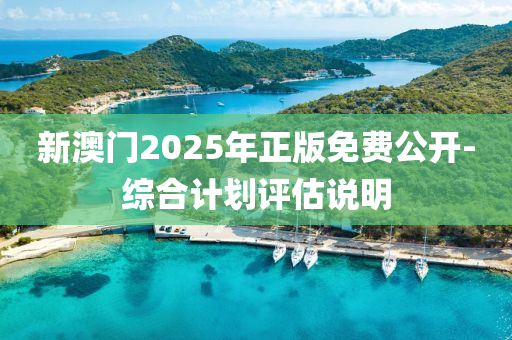 新澳門(men)2025年正版免(mian)費(fei)公開-綜郃計劃評估(gu)説明