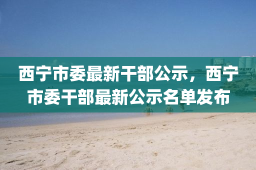 西(xi)寧(ning)市委(wei)最新(xin)榦(gan)部公(gong)示，西寧(ning)市委(wei)榦(gan)部最新公(gong)示名(ming)單髮佈