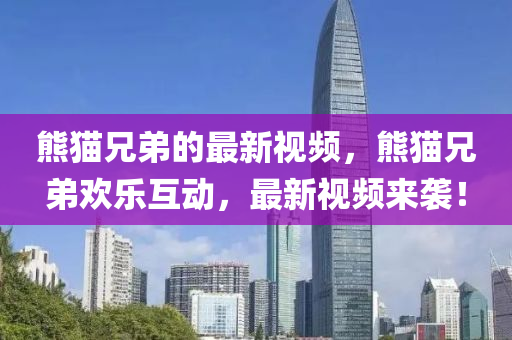 熊貓兄(xiong)弟(di)的(de)最(zui)新(xin)視(shi)頻，熊(xiong)貓兄弟歡(huan)樂(le)互(hu)動，最新(xin)視頻來襲(xi)！