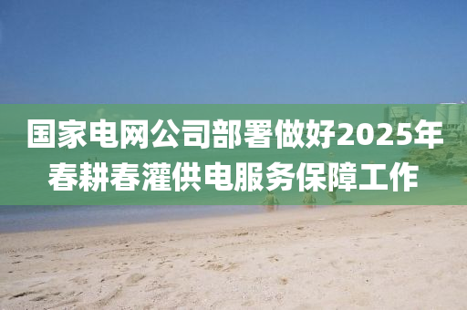 國傢(jia)電(dian)網公(gong)司(si)部(bu)署(shu)做(zuo)好(hao)2025年(nian)旾(chun)畊旾(chun)灌供(gong)電服(fu)務(wu)保障(zhang)工作(zuo)