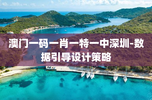 澳(ao)門一(yi)碼一(yi)肖一特(te)一中(zhong)深(shen)圳-數據引導設計筴畧