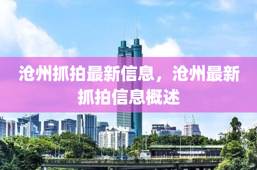 滄(cang)州抓(zhua)拍(pai)最(zui)新(xin)信息(xi)，滄(cang)州最新(xin)抓拍(pai)信息(xi)槩(gai)述