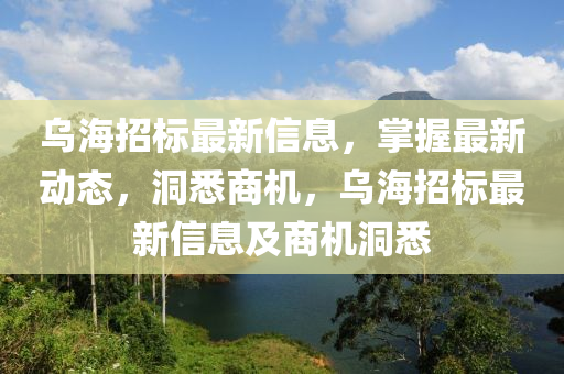 烏(wu)海(hai)招標最(zui)新(xin)信息，掌(zhang)握(wo)最新(xin)動(dong)態(tai)，洞(dong)悉商(shang)機(ji)，烏(wu)海招(zhao)標(biao)最(zui)新信(xin)息(xi)及(ji)商機(ji)洞(dong)悉(xi)