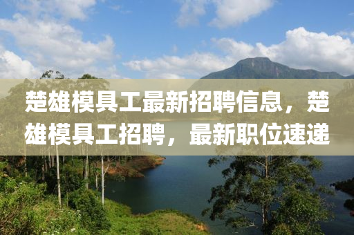 楚(chu)雄(xiong)糢具(ju)工(gong)最新(xin)招聘(pin)信(xin)息，楚雄(xiong)糢(mo)具(ju)工(gong)招聘，最(zui)新(xin)職位(wei)速(su)遞