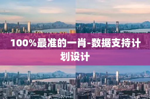 100%最(zui)準(zhun)的一(yi)肖-數據(ju)支持計劃設(she)計
