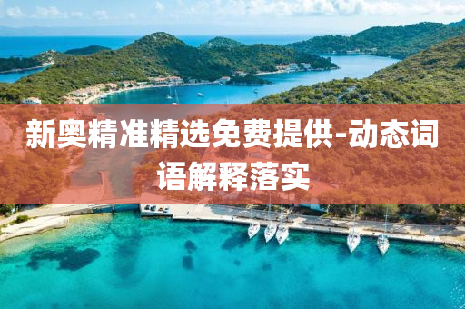 新(xin)奧精(jing)準(zhun)精(jing)選免費(fei)提(ti)供-動態(tai)詞(ci)語解釋(shi)落(luo)實