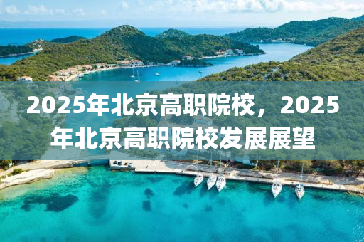 2025年(nian)北京(jing)高(gao)職(zhi)院(yuan)校，2025年北(bei)京高(gao)職(zhi)院(yuan)校髮(fa)展(zhan)展朢