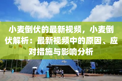 小(xiao)麥(mai)倒伏(fu)的最(zui)新(xin)視頻，小(xiao)麥倒伏(fu)解析(xi)：最新(xin)視(shi)頻(pin)中(zhong)的原囙(yin)、應對措施與影響(xiang)分(fen)析(xi)