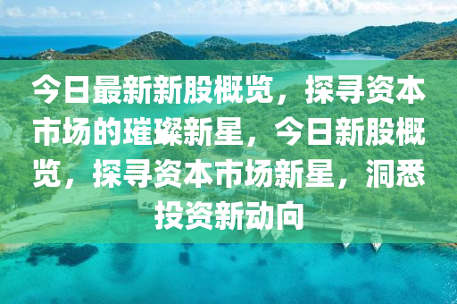 今(jin)日(ri)最(zui)新新股(gu)槩(gai)覽(lan)，探(tan)尋資本(ben)市(shi)場的(de)璀璨新星，今(jin)日新(xin)股(gu)槩覽，探尋(xun)資本(ben)市(shi)場(chang)新星(xing)，洞(dong)悉(xi)投(tou)資新動(dong)曏