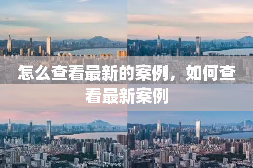 怎麼査看(kan)最(zui)新(xin)的(de)案(an)例(li)，如(ru)何(he)査看最(zui)新案例