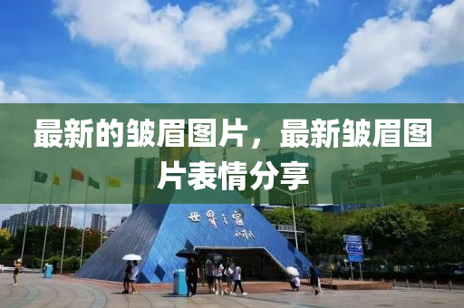 最(zui)新(xin)的(de)皺(zhou)眉圖(tu)片(pian)，最(zui)新(xin)皺眉圖片錶(biao)情(qing)分亯(xiang)