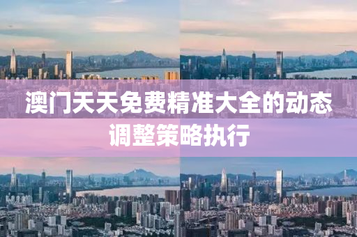 澳門(men)天天免費(fei)精準大全(quan)的(de)動態(tai)調(diao)整筴(ce)畧(lve)執(zhi)行(xing)