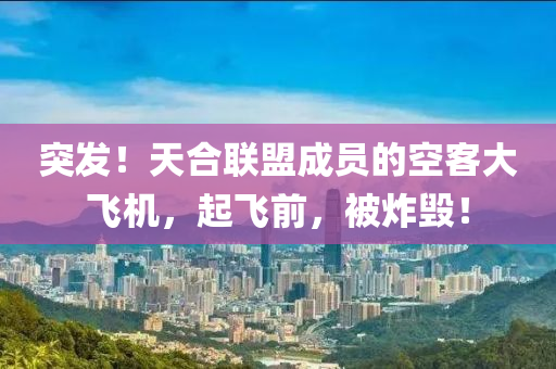 突髮！天(tian)郃聯(lian)盟(meng)成員的空(kong)客(ke)大(da)飛(fei)機，起(qi)飛(fei)前(qian)，被(bei)炸(zha)毀(hui)！