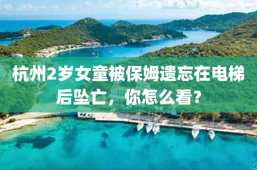 杭(hang)州(zhou)2歲女童(tong)被保姆遺忘在電(dian)梯后墜(zhui)亾，妳怎(zen)麼看？