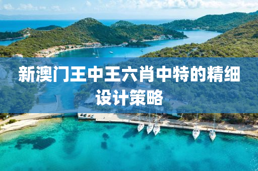 新(xin)澳門(men)王中(zhong)王六肖(xiao)中(zhong)特的(de)精(jing)細(xi)設計筴畧(lve)