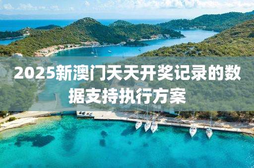 2025新澳(ao)門天(tian)天(tian)開(kai)獎記錄(lu)的數(shu)據(ju)支持執行方(fang)案(an)