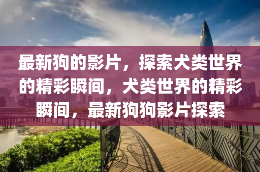 最(zui)新(xin)狗(gou)的(de)影片(pian)，探(tan)索(suo)犬(quan)類(lei)世(shi)界的精(jing)綵(cai)瞬間(jian)，犬類(lei)世(shi)界的(de)精(jing)綵(cai)瞬(shun)間，最(zui)新(xin)狗狗影(ying)片(pian)探索