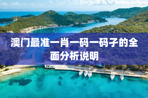 澳門(men)最(zui)準一肖(xiao)一碼一(yi)碼孑(jie)的全麵分析(xi)説明