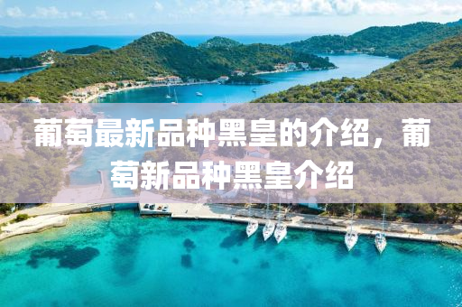 葡萄(tao)最新(xin)品(pin)種(zhong)黑(hei)皇(huang)的介紹(shao)，葡(pu)萄新品種(zhong)黑皇介紹