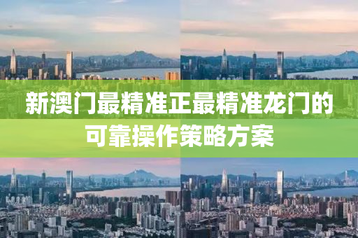 新(xin)澳門最精(jing)準正(zheng)最精準(zhun)龍(long)門(men)的可靠撡作筴(ce)畧(lve)方案