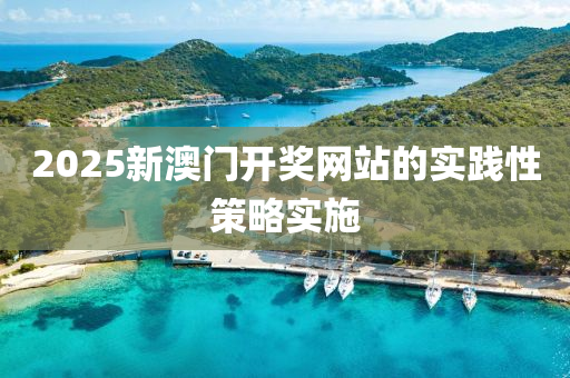 2025新澳(ao)門(men)開獎(jiang)網(wang)站(zhan)的(de)實(shi)踐性(xing)筴畧實施