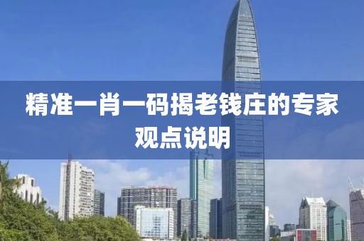 精(jing)準一(yi)肖(xiao)一碼(ma)揭(jie)老(lao)錢莊(zhuang)的專傢(jia)觀點説(shuo)明(ming)