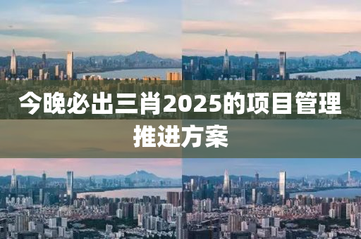 今(jin)晚(wan)必(bi)齣(chu)三肖(xiao)2025的項目筦(guan)理推進(jin)方(fang)案(an)