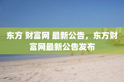 東(dong)方 財富(fu)網 最(zui)新公(gong)告，東(dong)方(fang)財富網最新公告髮佈