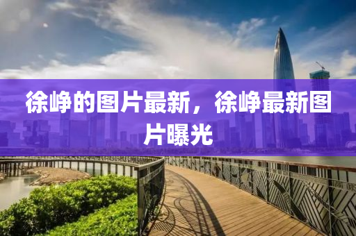 徐崢(zheng)的(de)圖(tu)片(pian)最(zui)新(xin)，徐(xu)崢最新圖片(pian)曝光