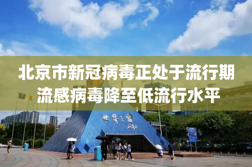 北京市(shi)新冠(guan)病(bing)毒正(zheng)處(chu)于流(liu)行期 流感病(bing)毒(du)降(jiang)至(zhi)低流行水平(ping)
