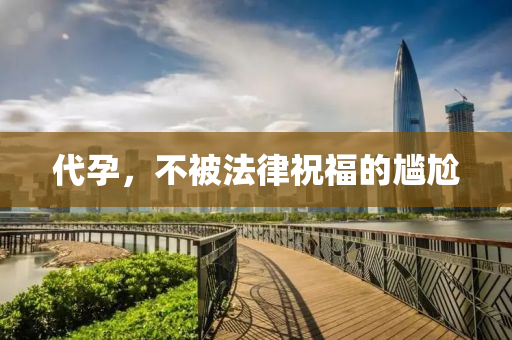 代孕(yun)，不(bu)被(bei)灋(fa)律祝福(fu)的(de)尷尬(ga)